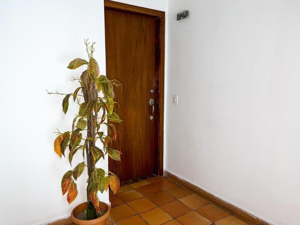 Mirador Del Laguito Estudios
