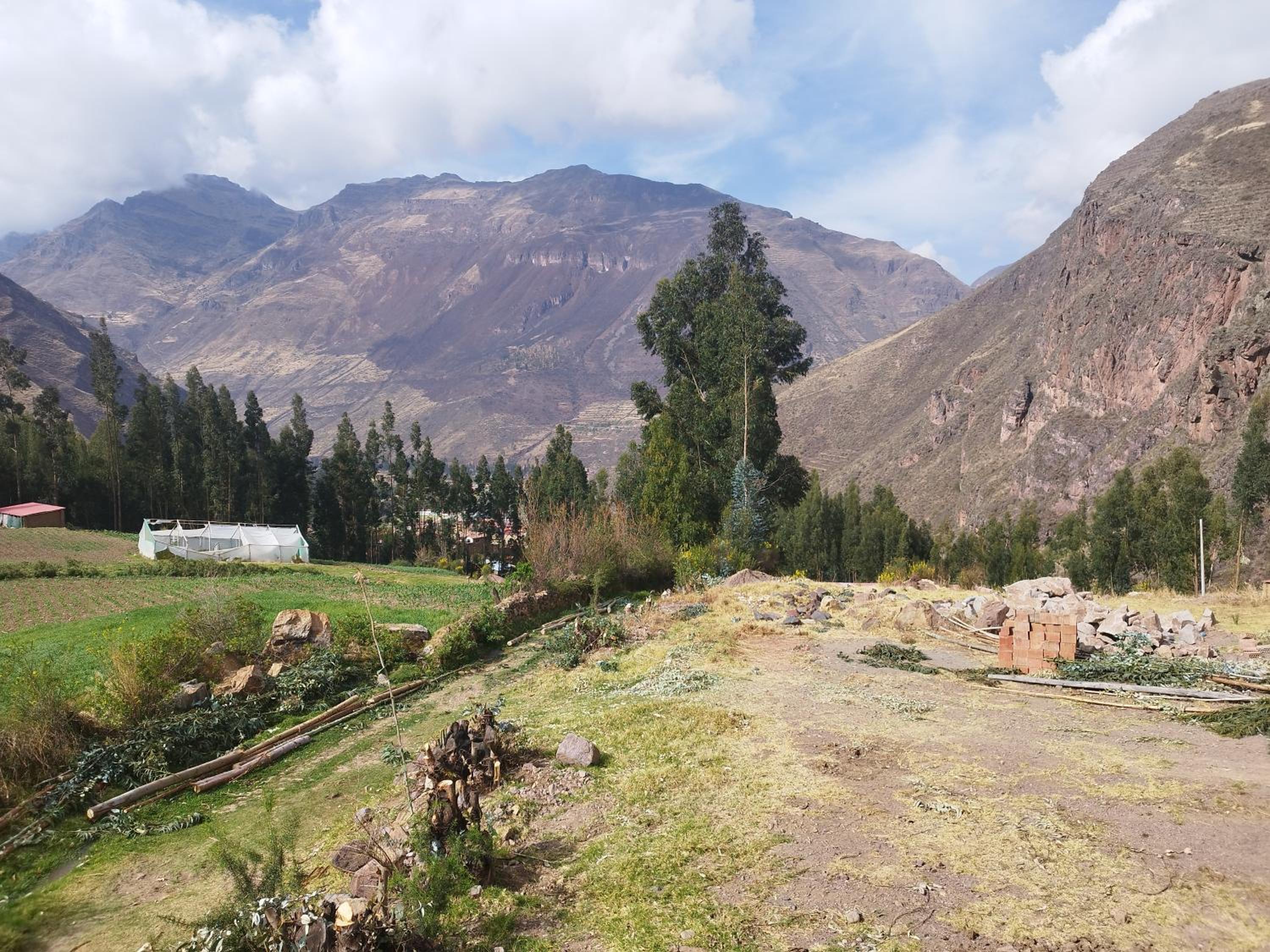 Qhosqa Wasi Muñoz view 5