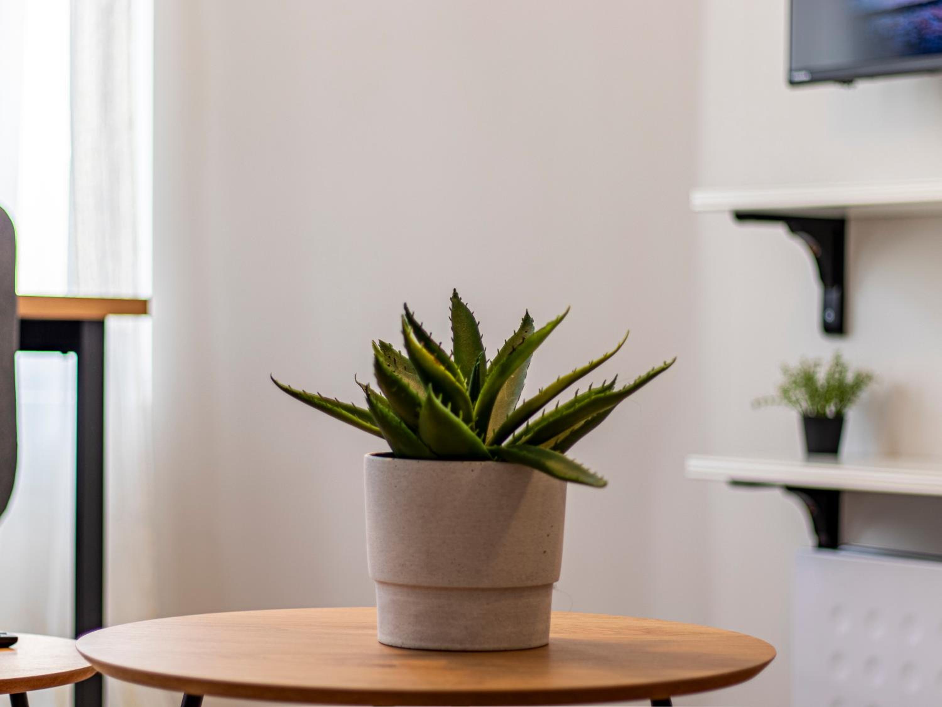 2-Bedroom Oasis in Sofia Center