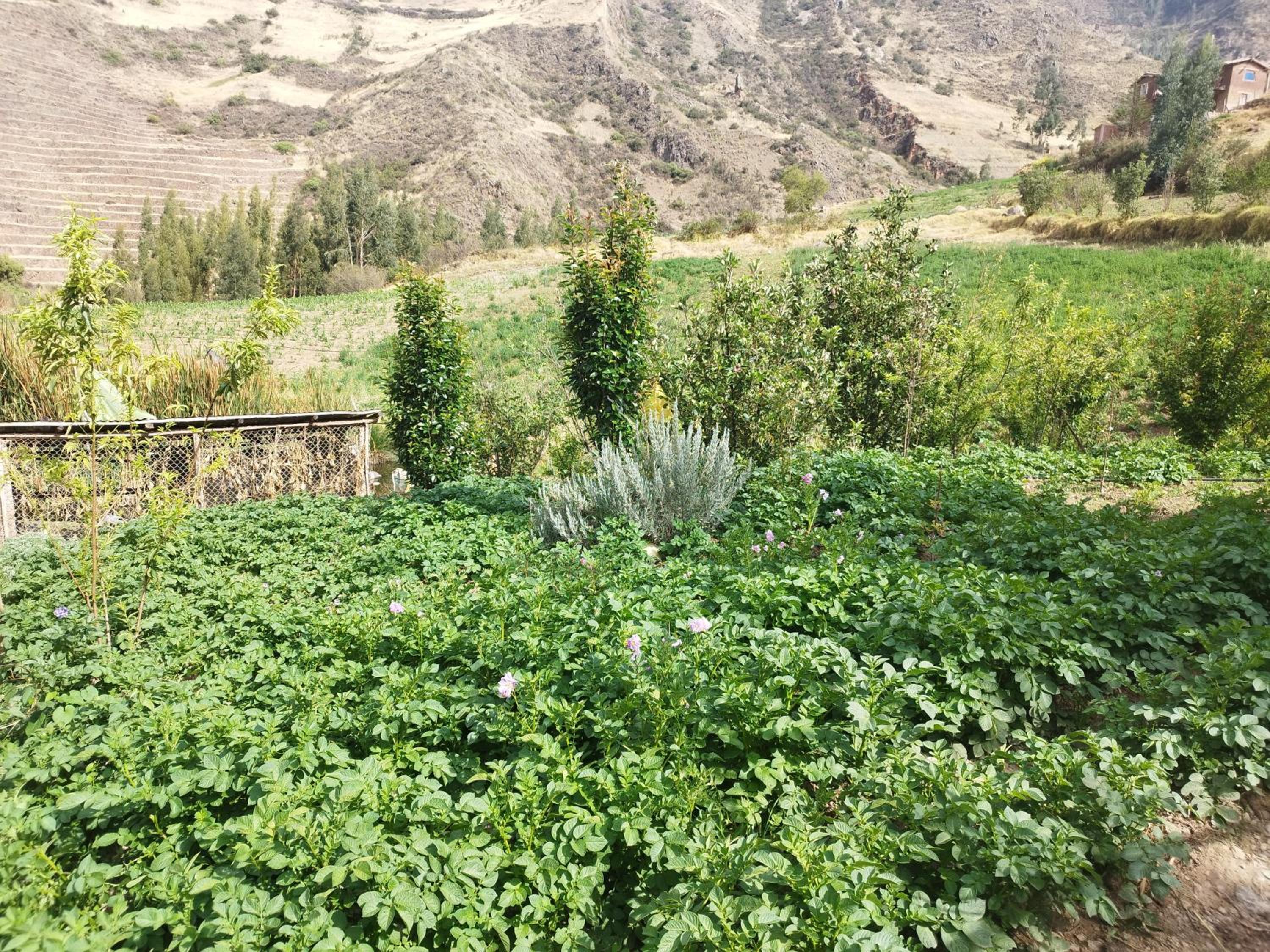 Photo 20