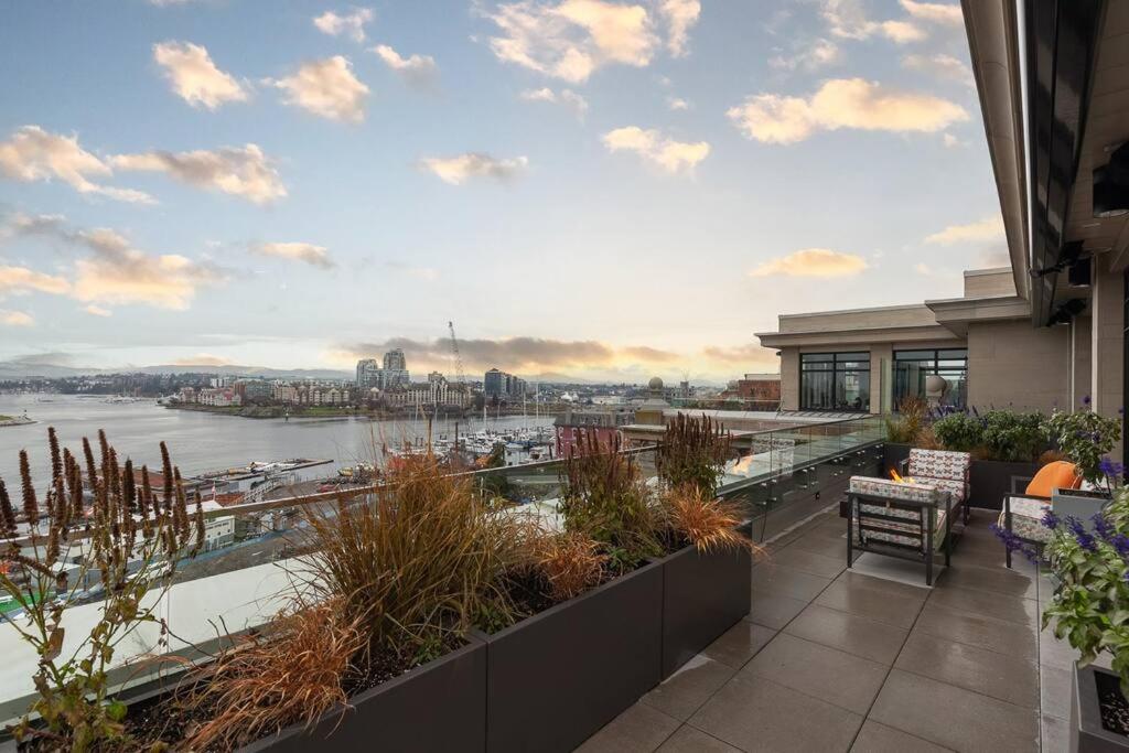 Harbour Vista