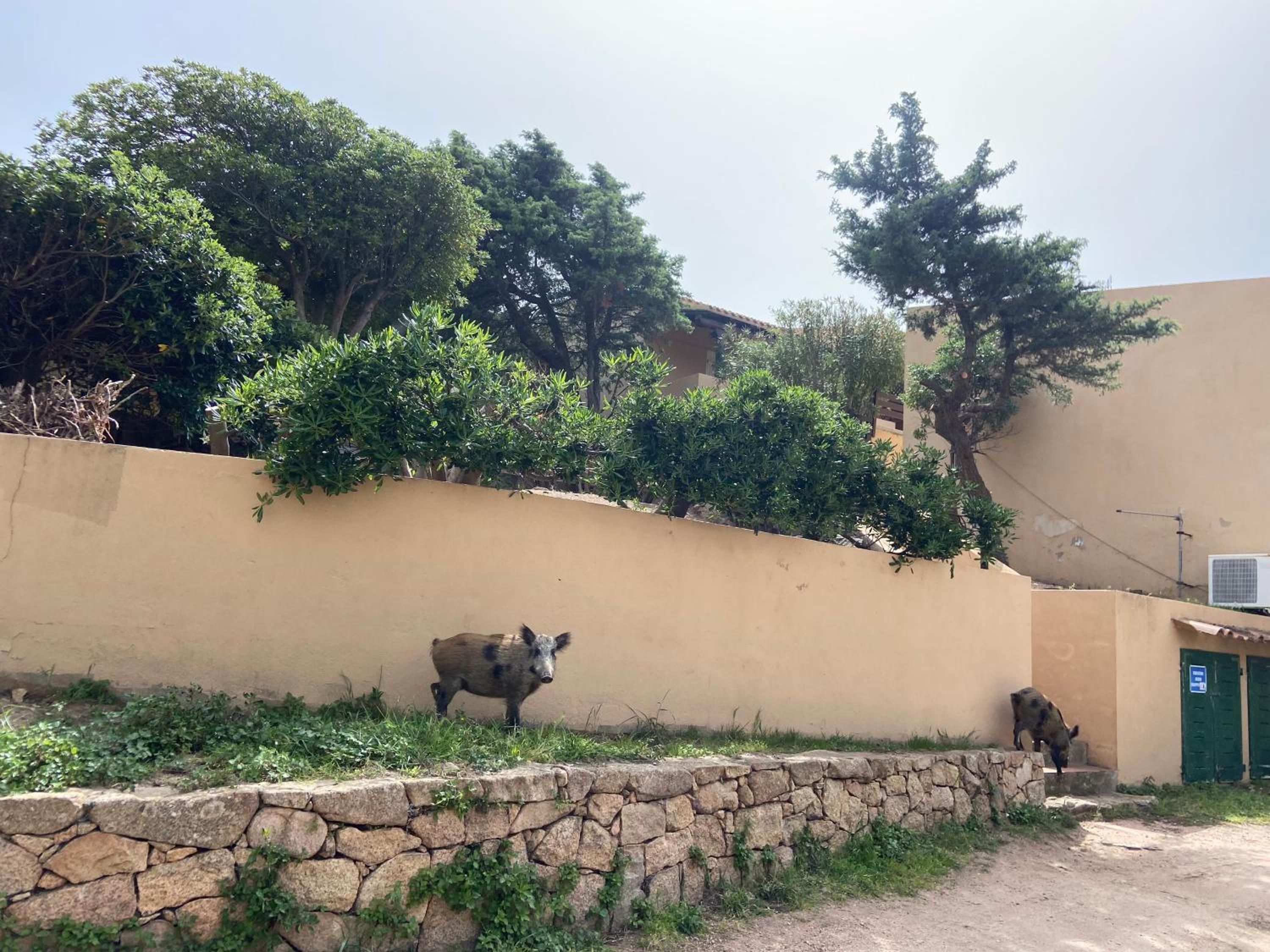 Casa da Iulia Usselmann view 5
