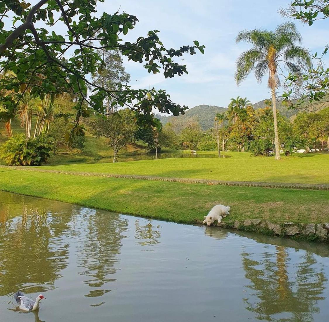 Casa no lago