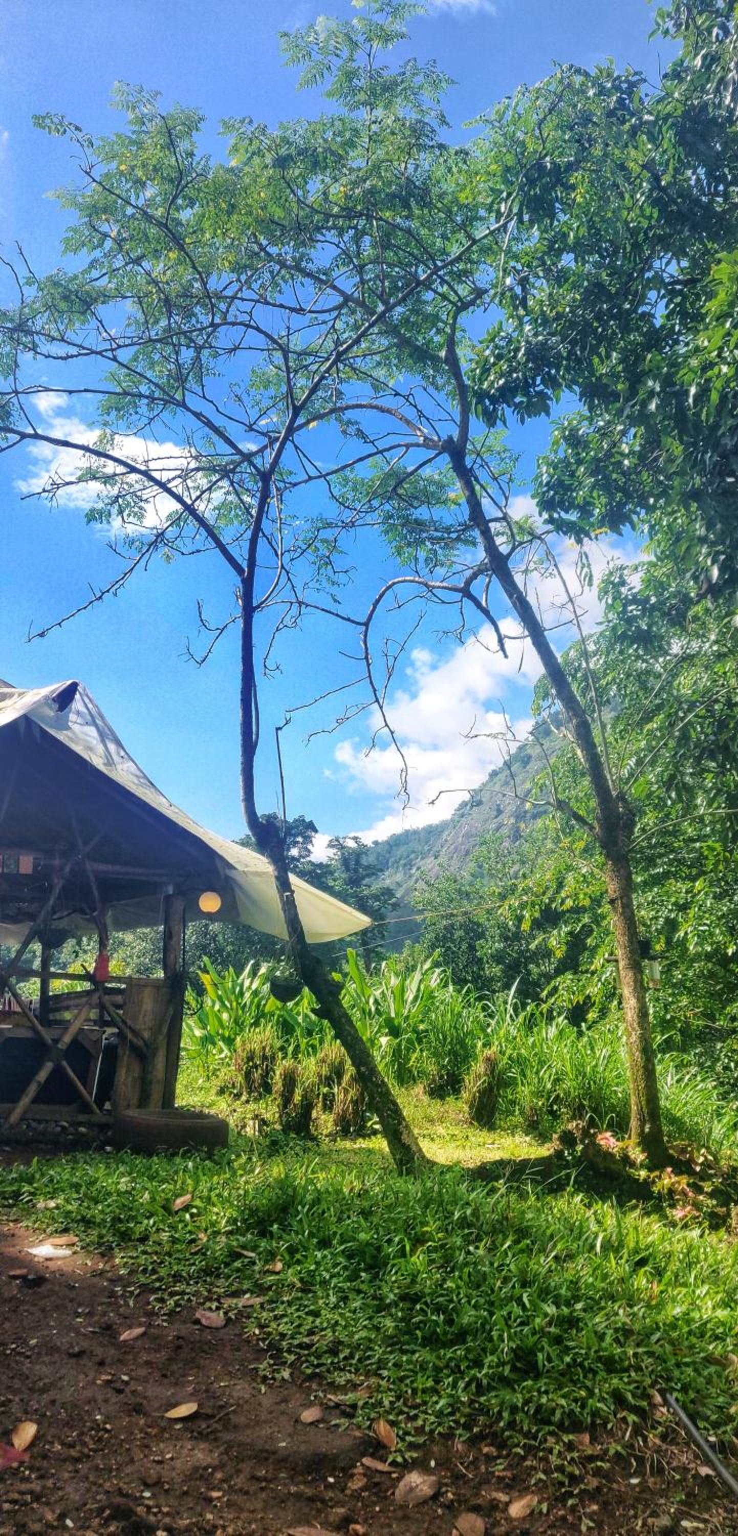 Mountain valley mamalakandam