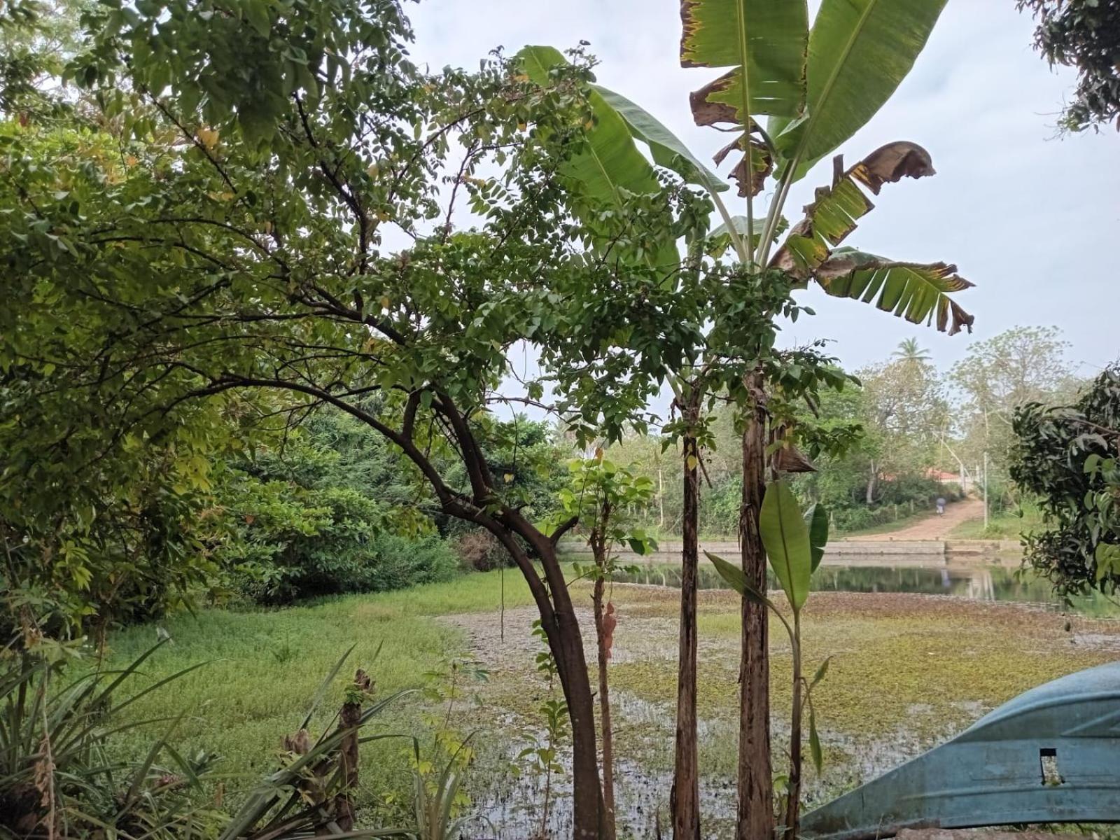 Arachchi Villa Tangalle view 3