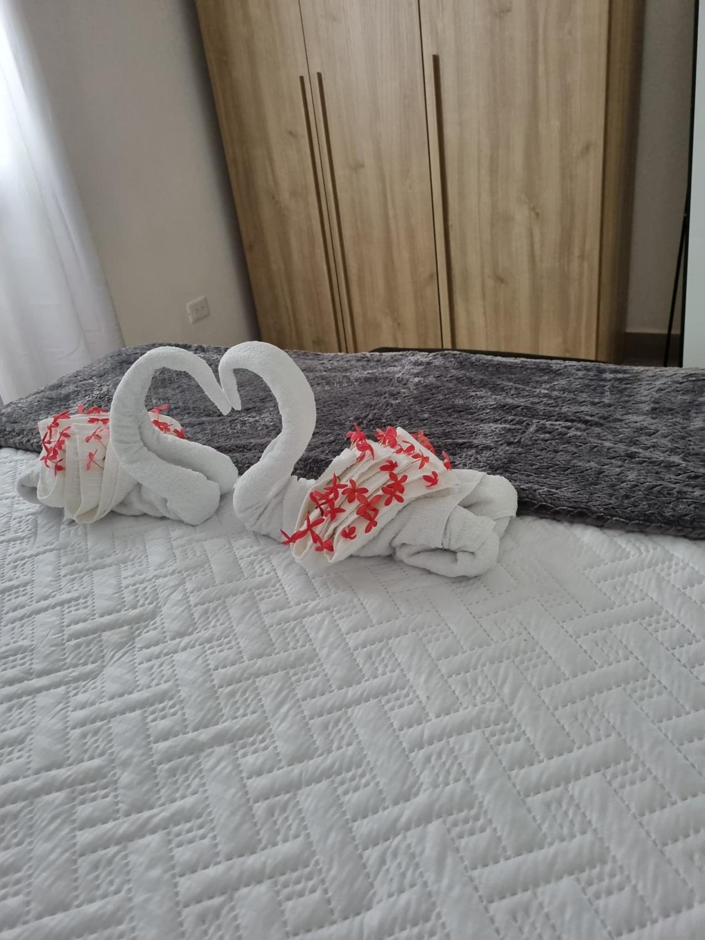 Suite with jacuzzi in Las Terrenas