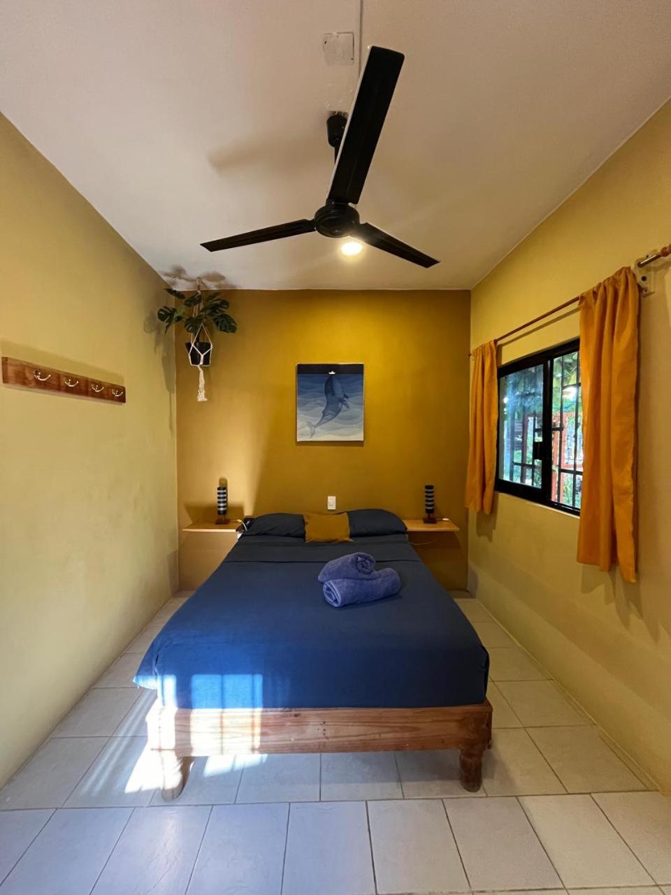 Casa Shula