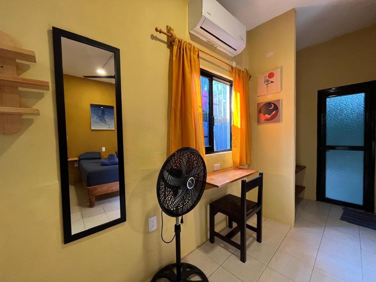Casa Shula