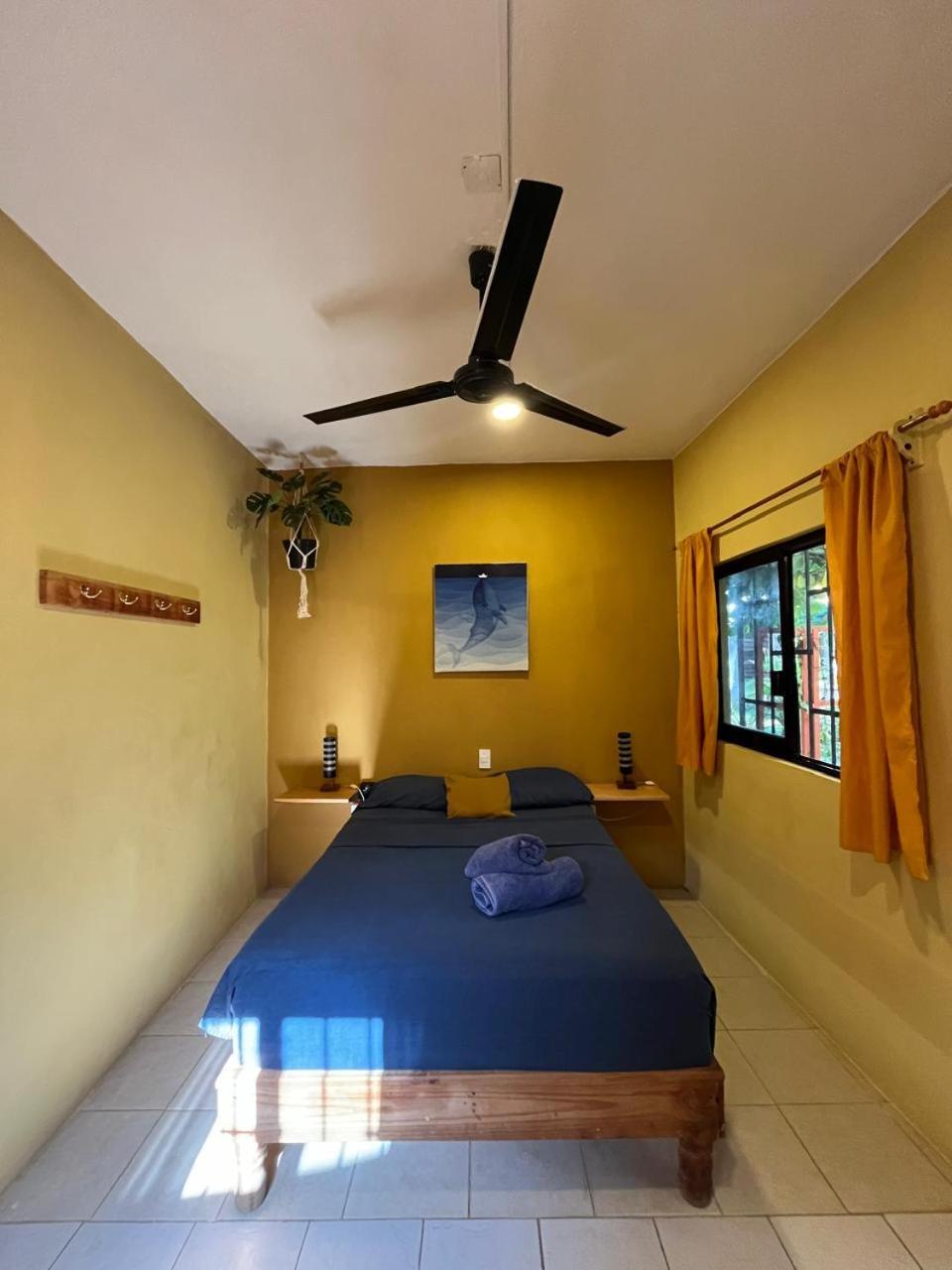 Casa Shula