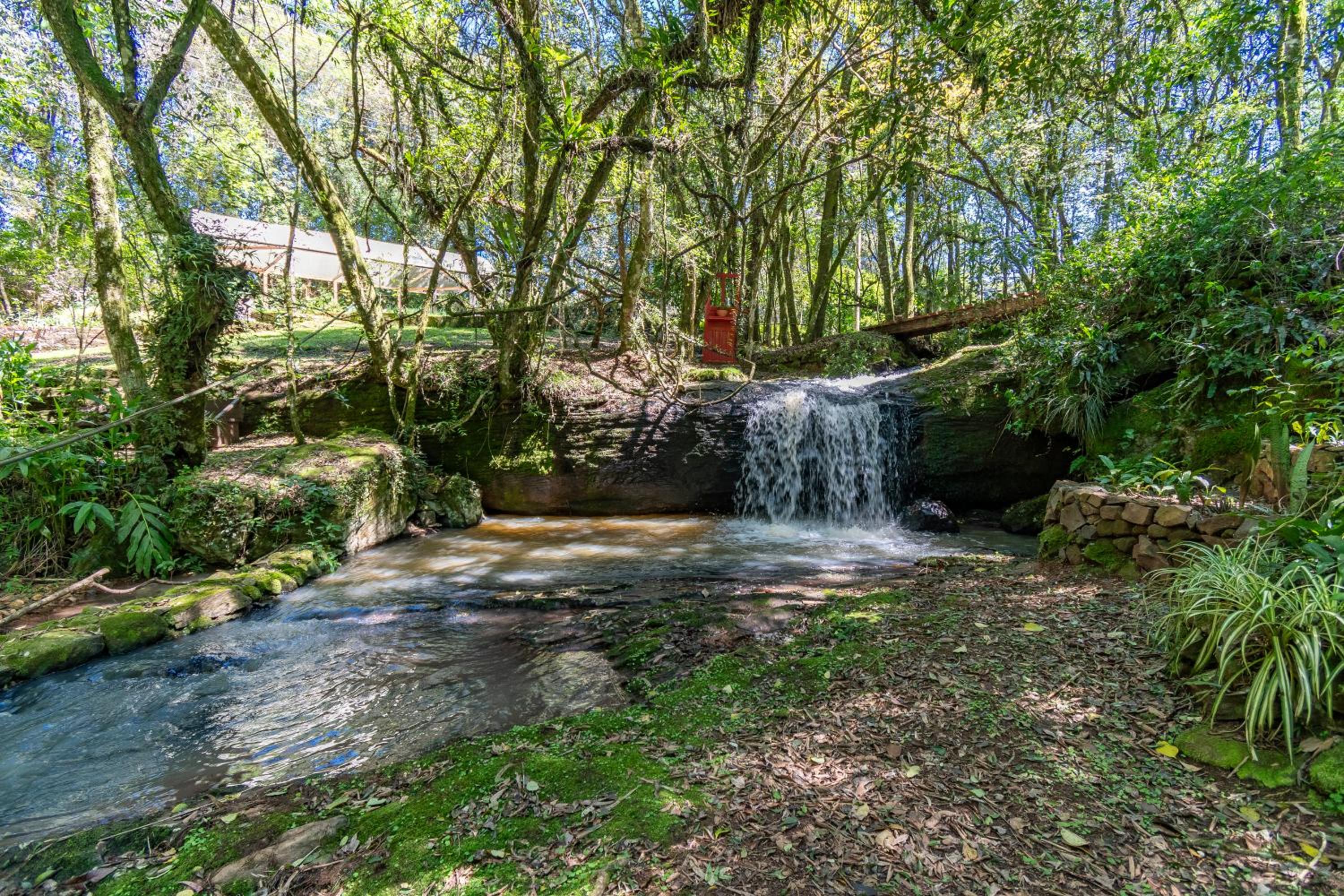 Quintal do Garnizé - Unidade Sabiá