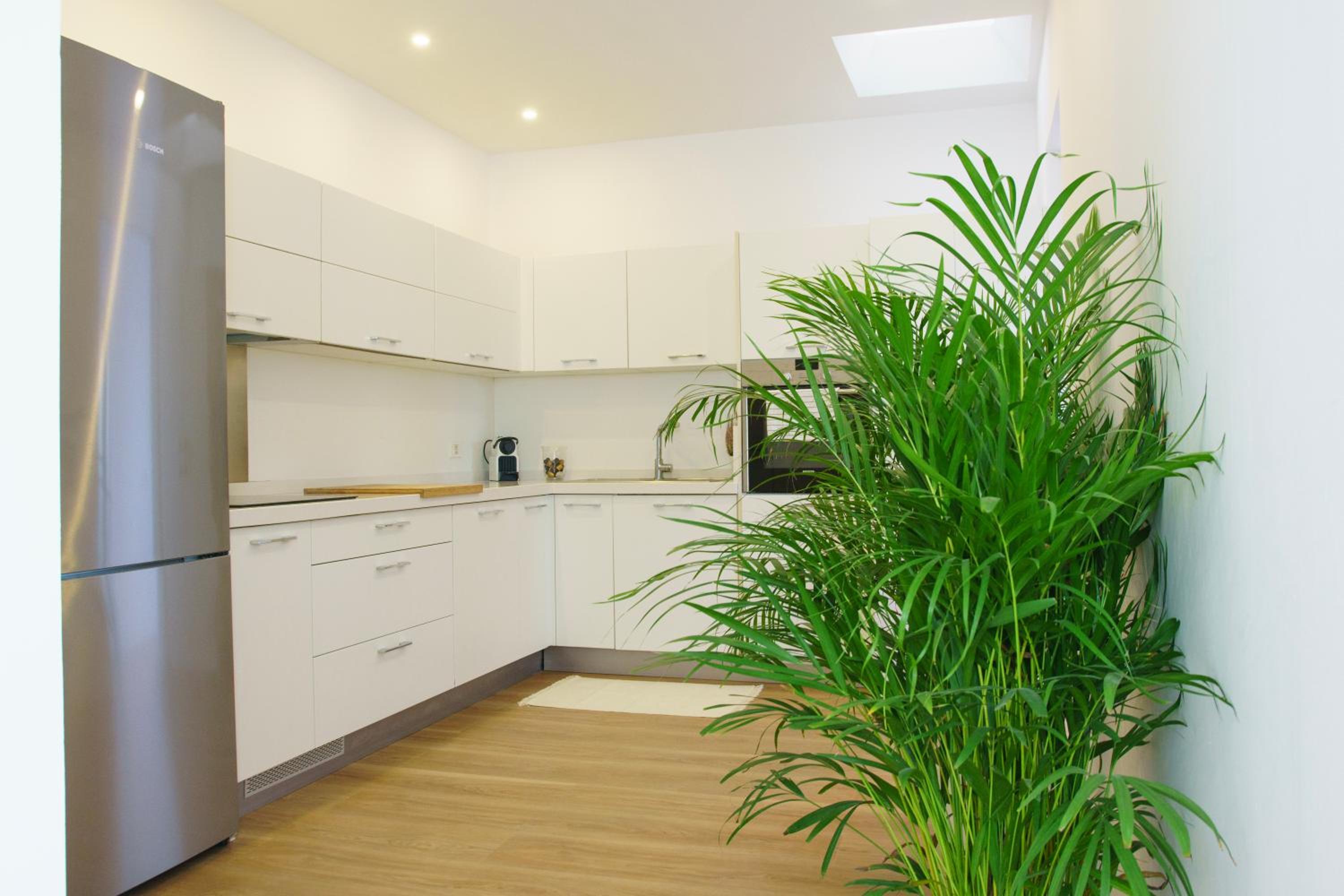 Casa Drago - Stylish 1BR apartment with Panoramic Views photo 3
