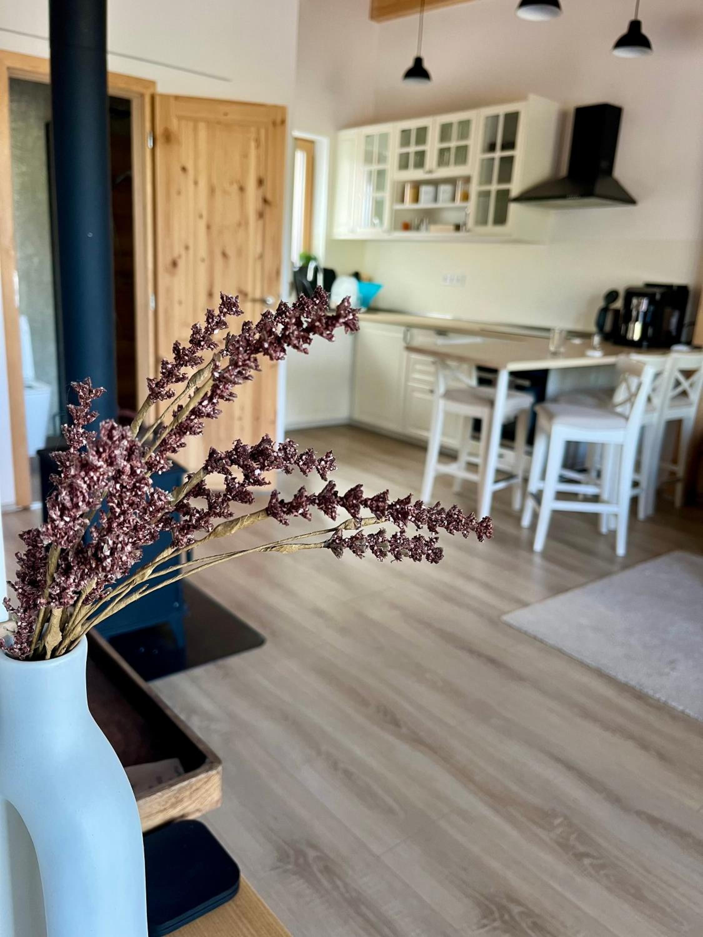 Apartmány pod Janovským vŕškom