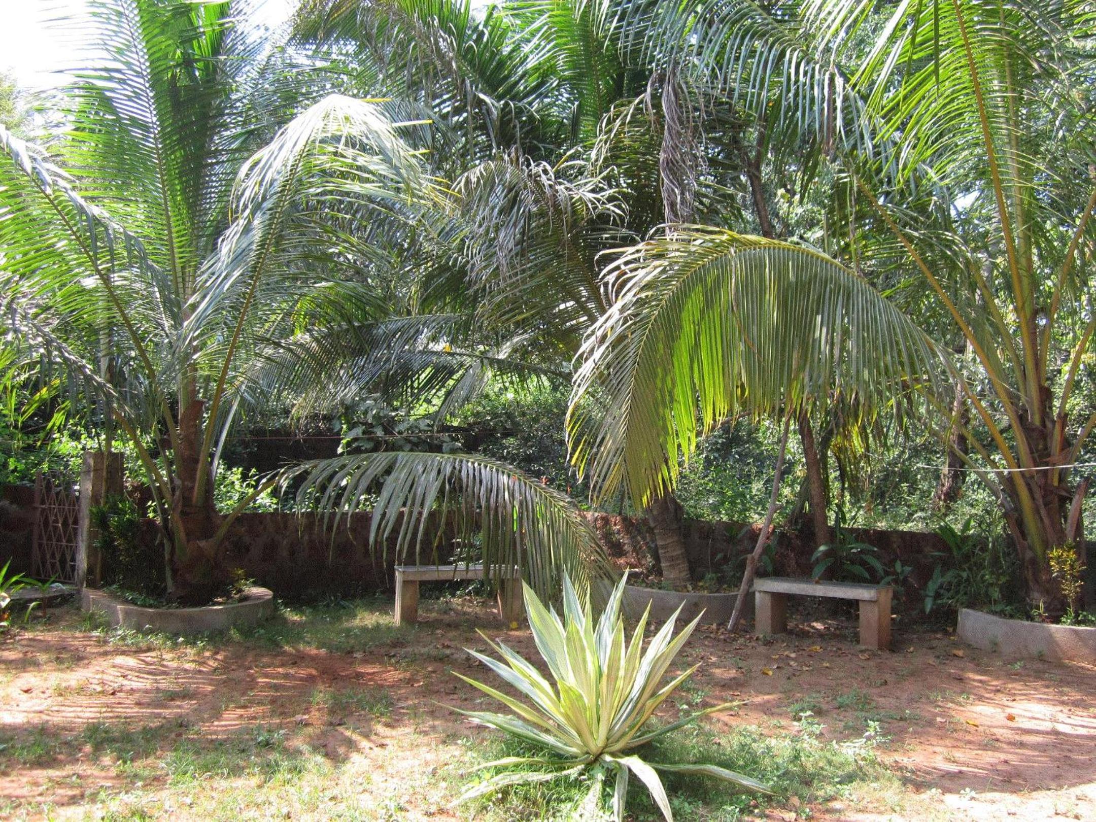 Photo 8