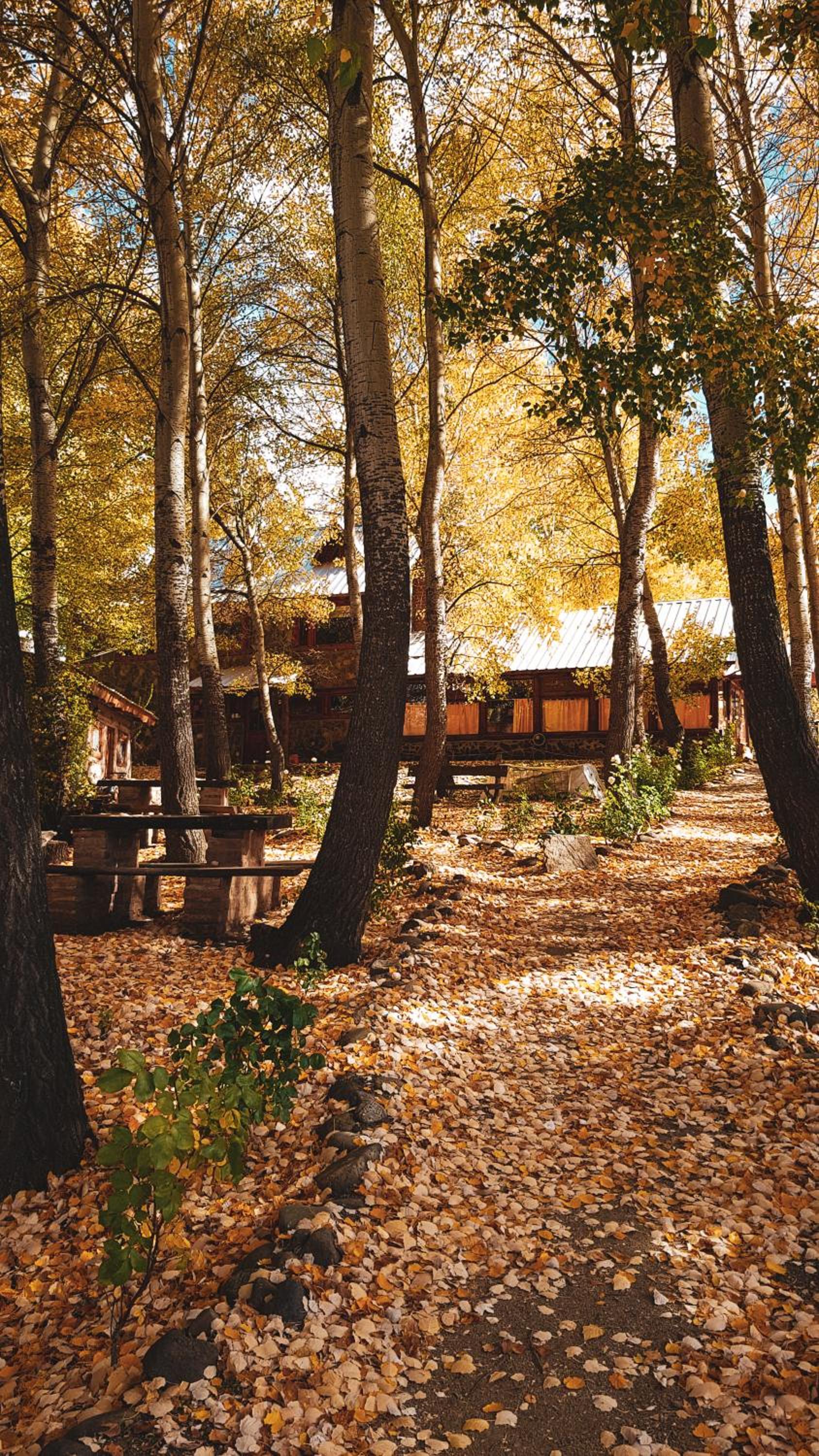 El Hostal del Rio