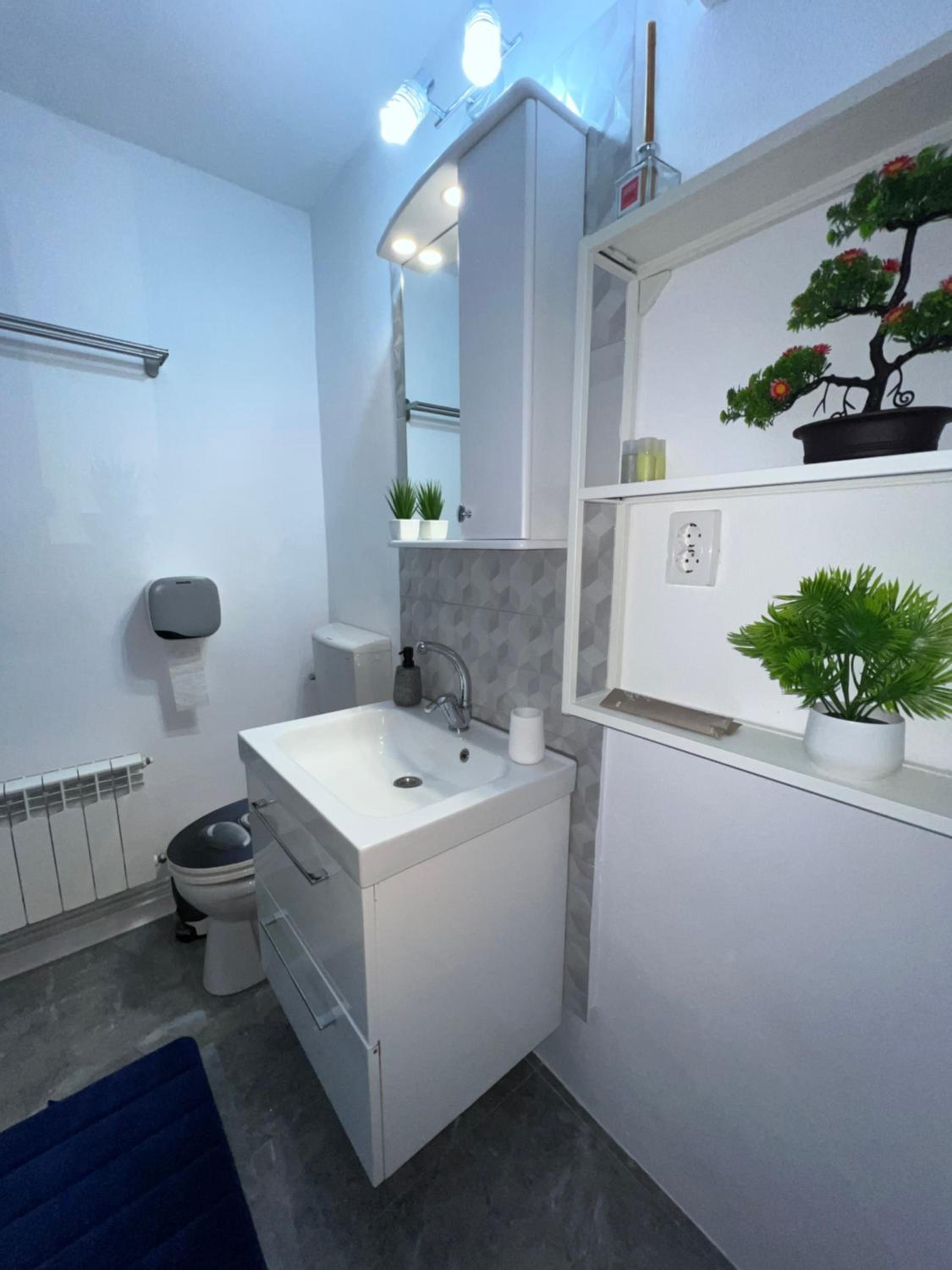 Studio Anca-old town Sibiu