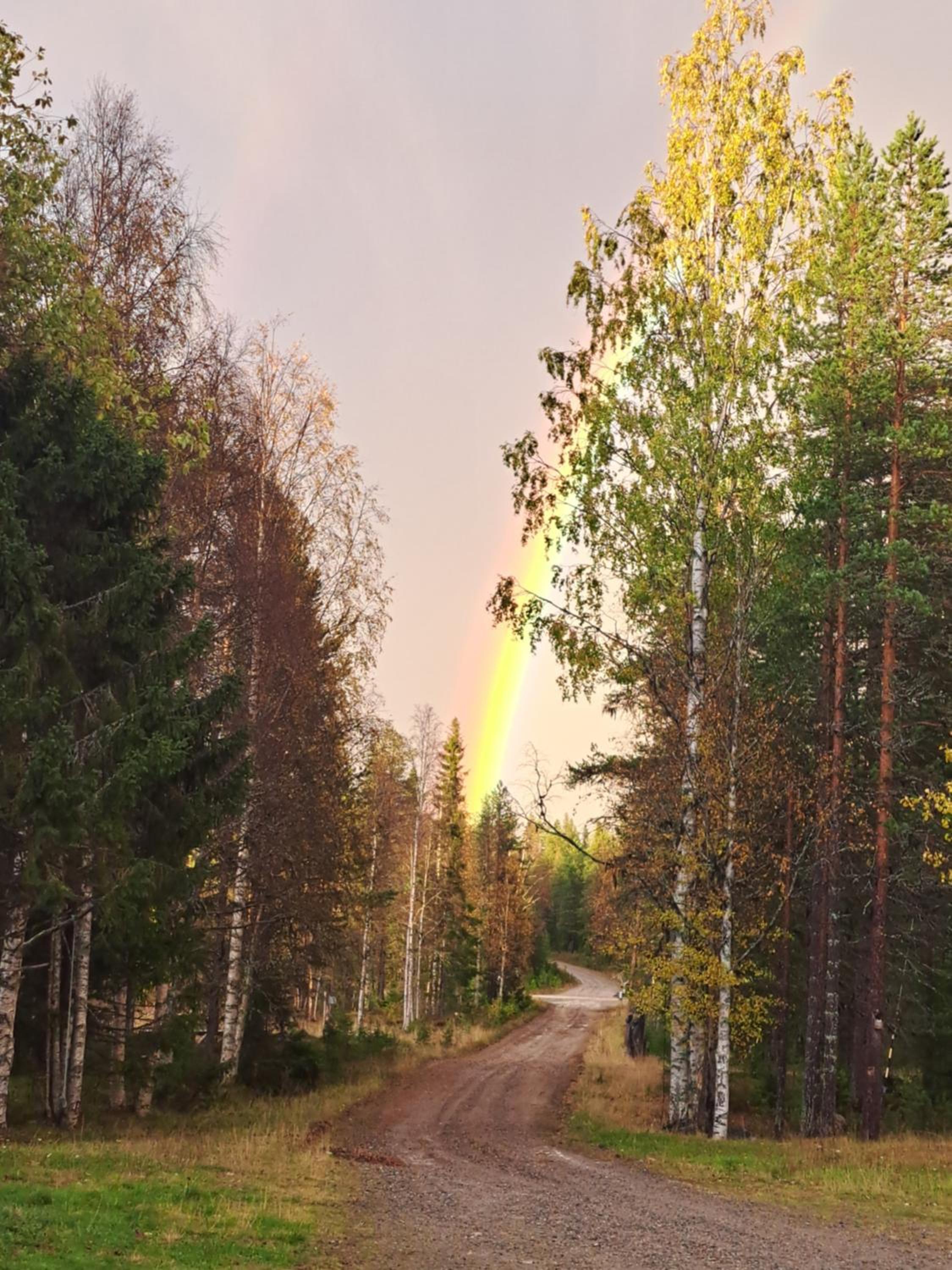 Northernlight guesthouse