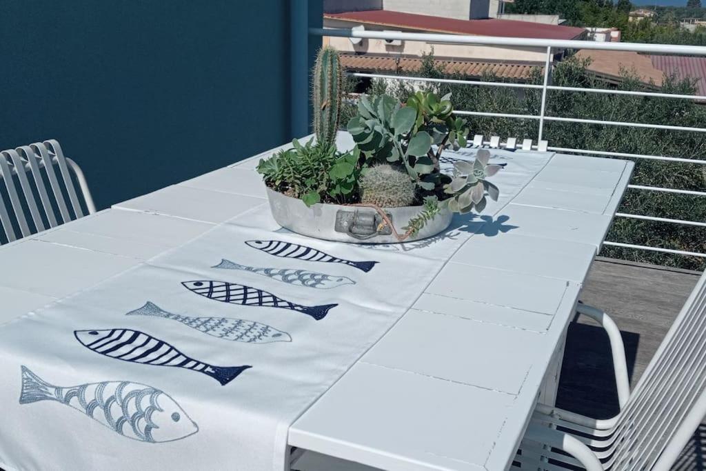Ciuri CiuriHome