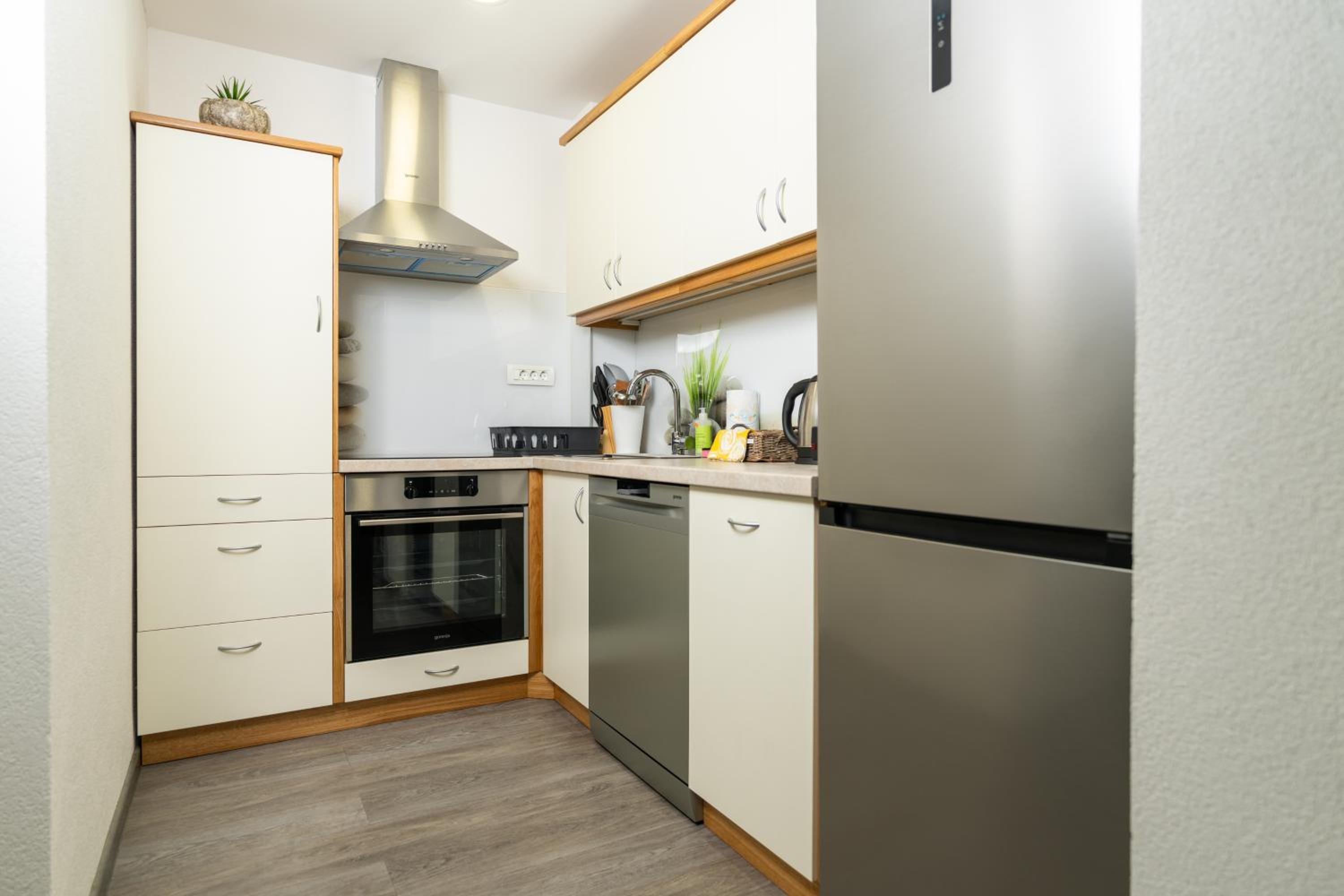 Apartma pri lipi view 2