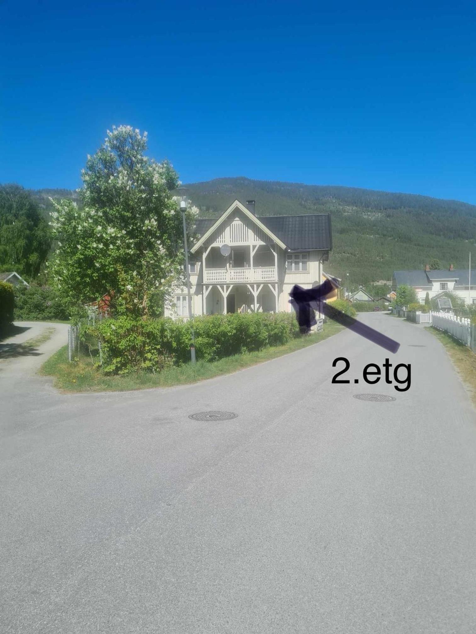 Photo 8
