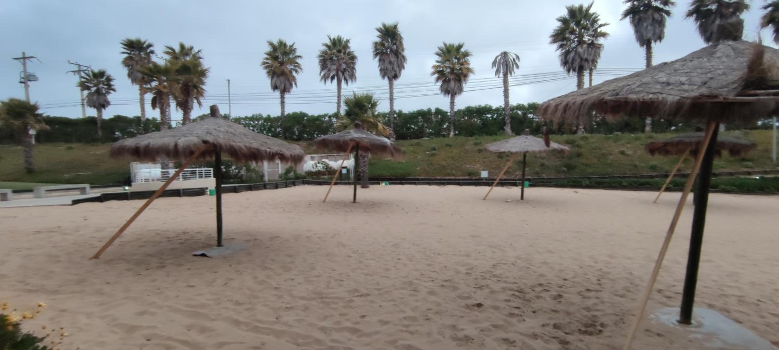 Cómodo departamento en Algarrobo