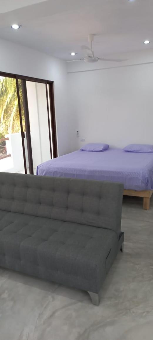 Hermoso estudio almendro