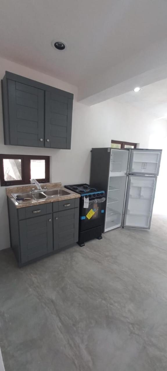 Hermoso estudio almendro