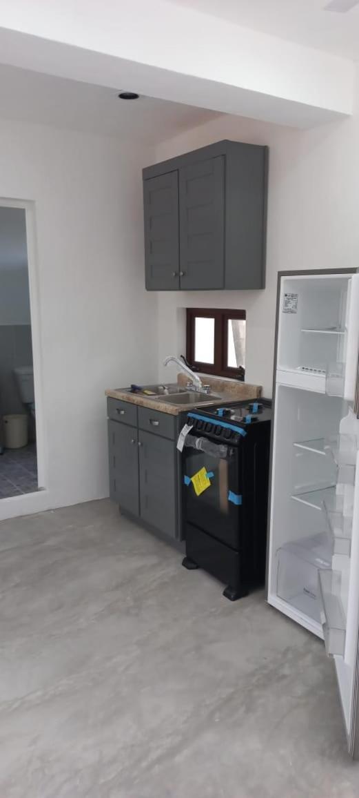 Hermoso estudio almendro