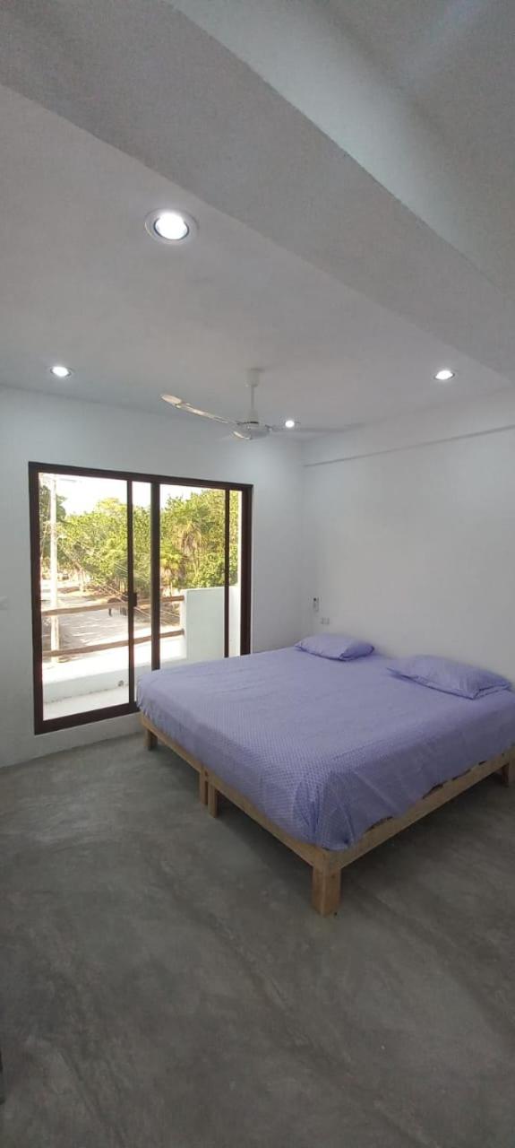 Hermoso estudio almendro