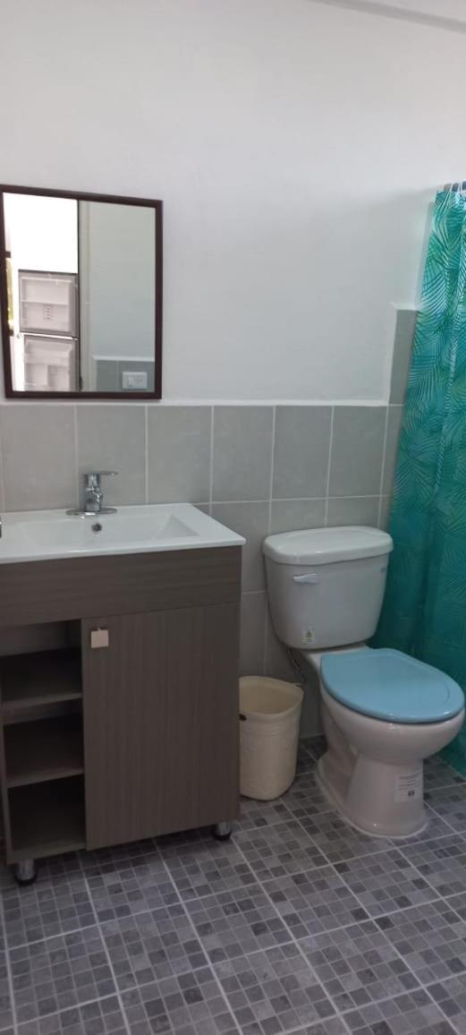 Hermoso estudio almendro