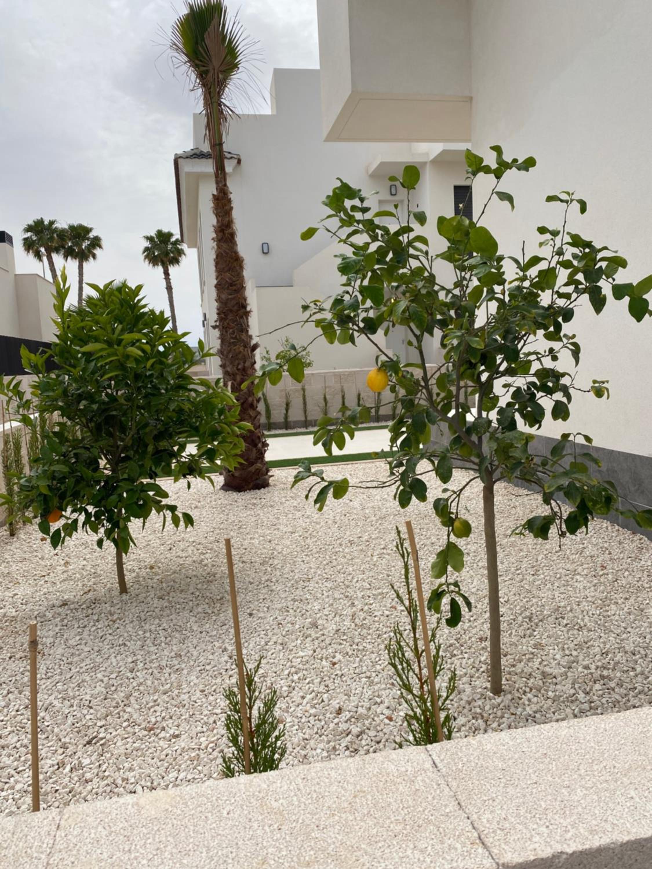 Vera Apartment mit Garten
