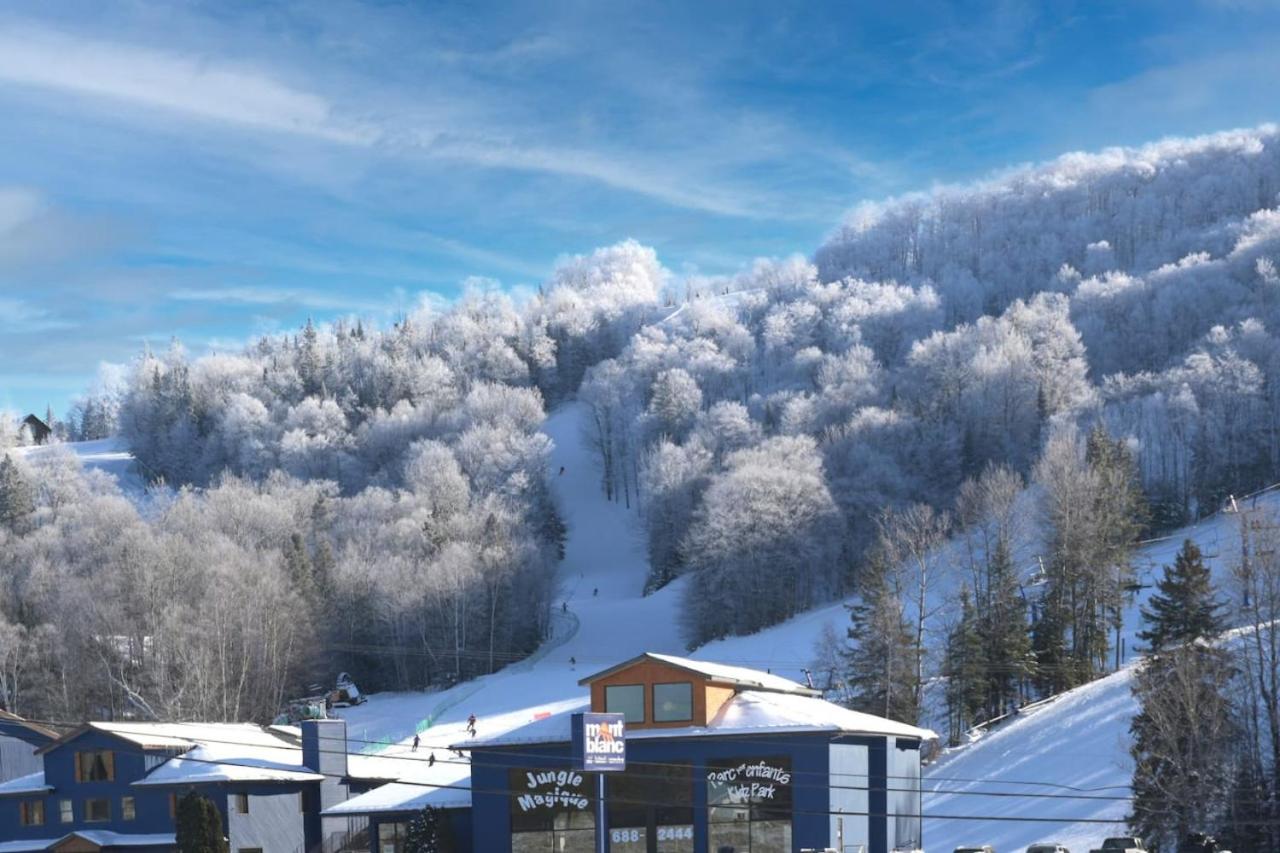 Les chalets du village