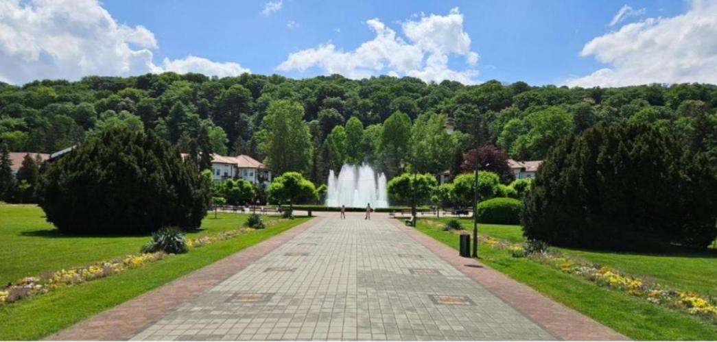 Apartman Lazić