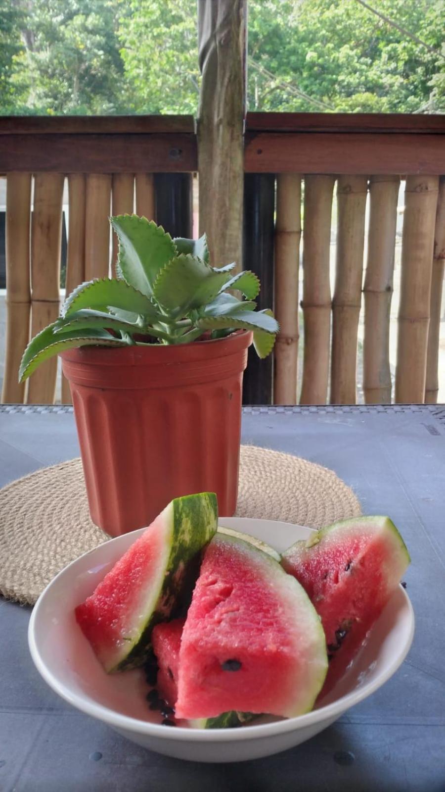 Hostal Portobelo