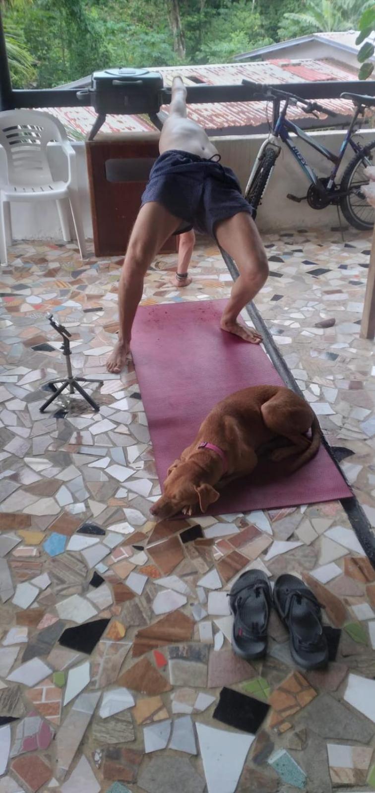 Hostal Portobelo