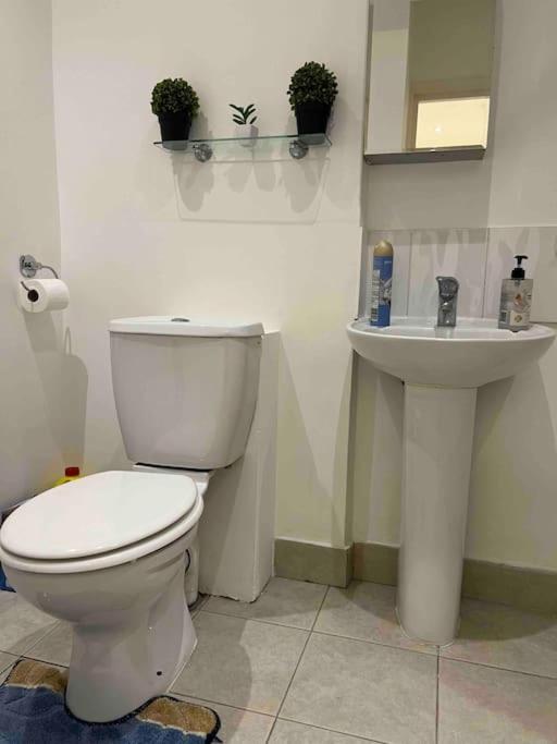 Kensington Studio Apartment in Central London