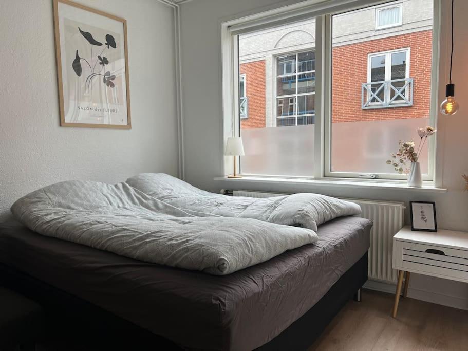 Cozy Flats Silkeborg - S3 view 2