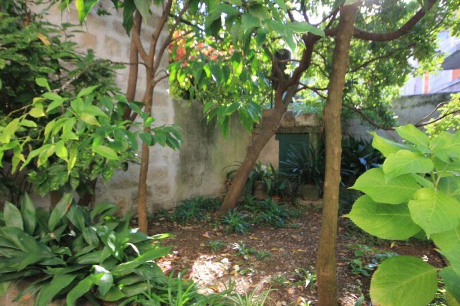 House Korta view 5