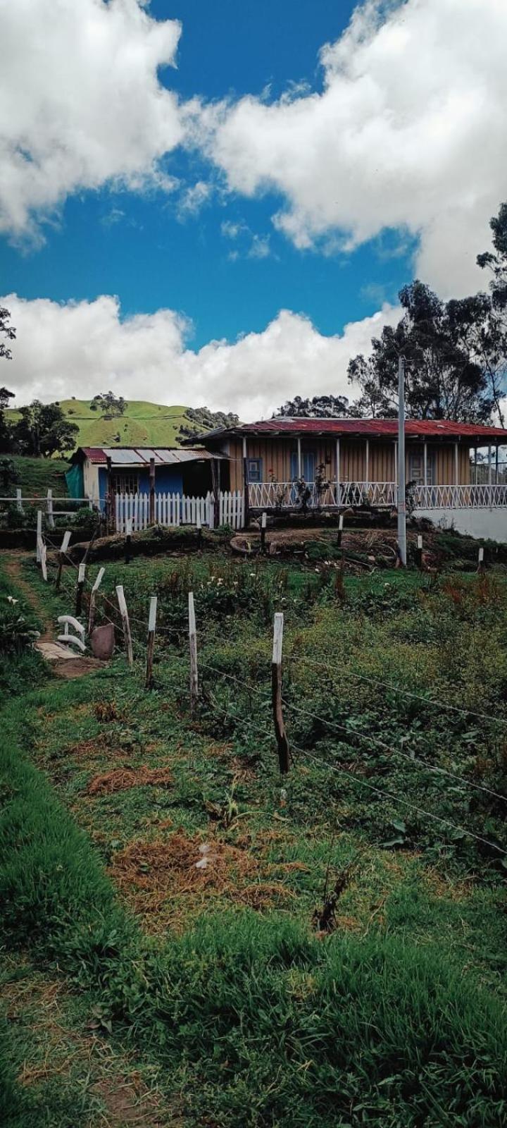 Refugio Paramo Trek Murillo