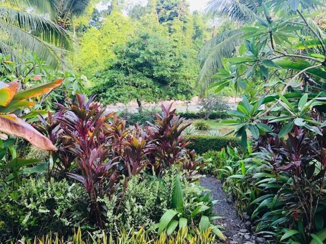 La Rana Deluxe Villa - Riverfront With A Pool
