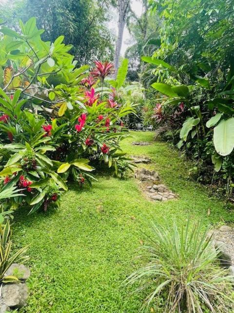 La Rana Deluxe Villa - Riverfront With A Pool