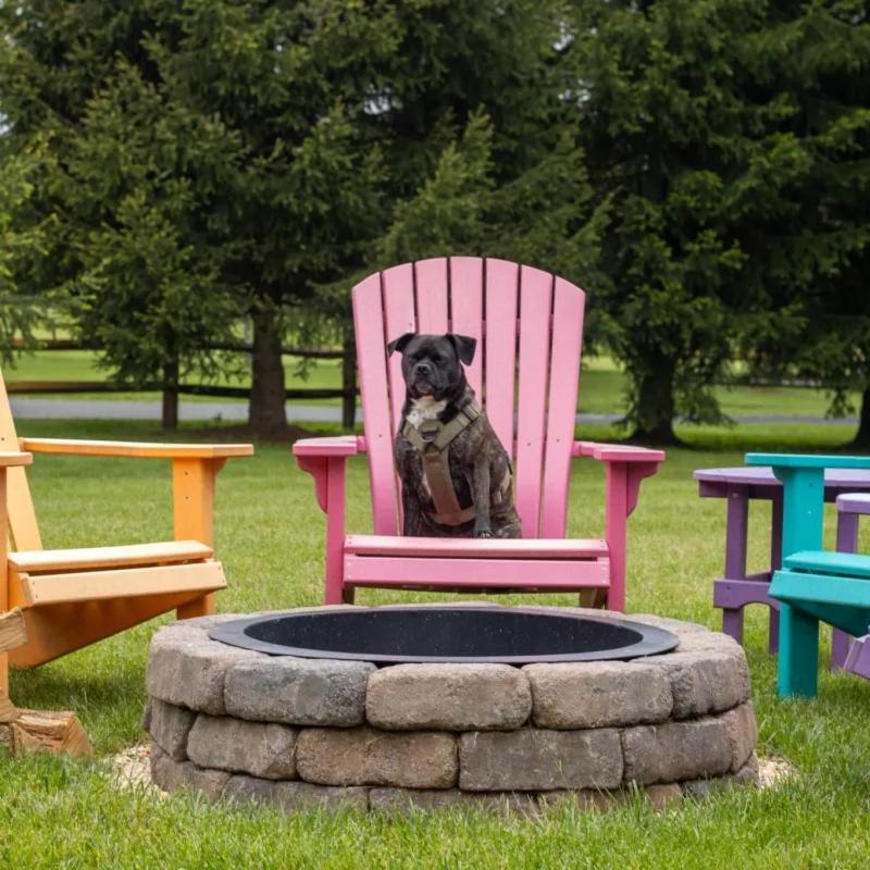 Fenced Yard Chalets from Good Dog Vacations at Big Valley Resort