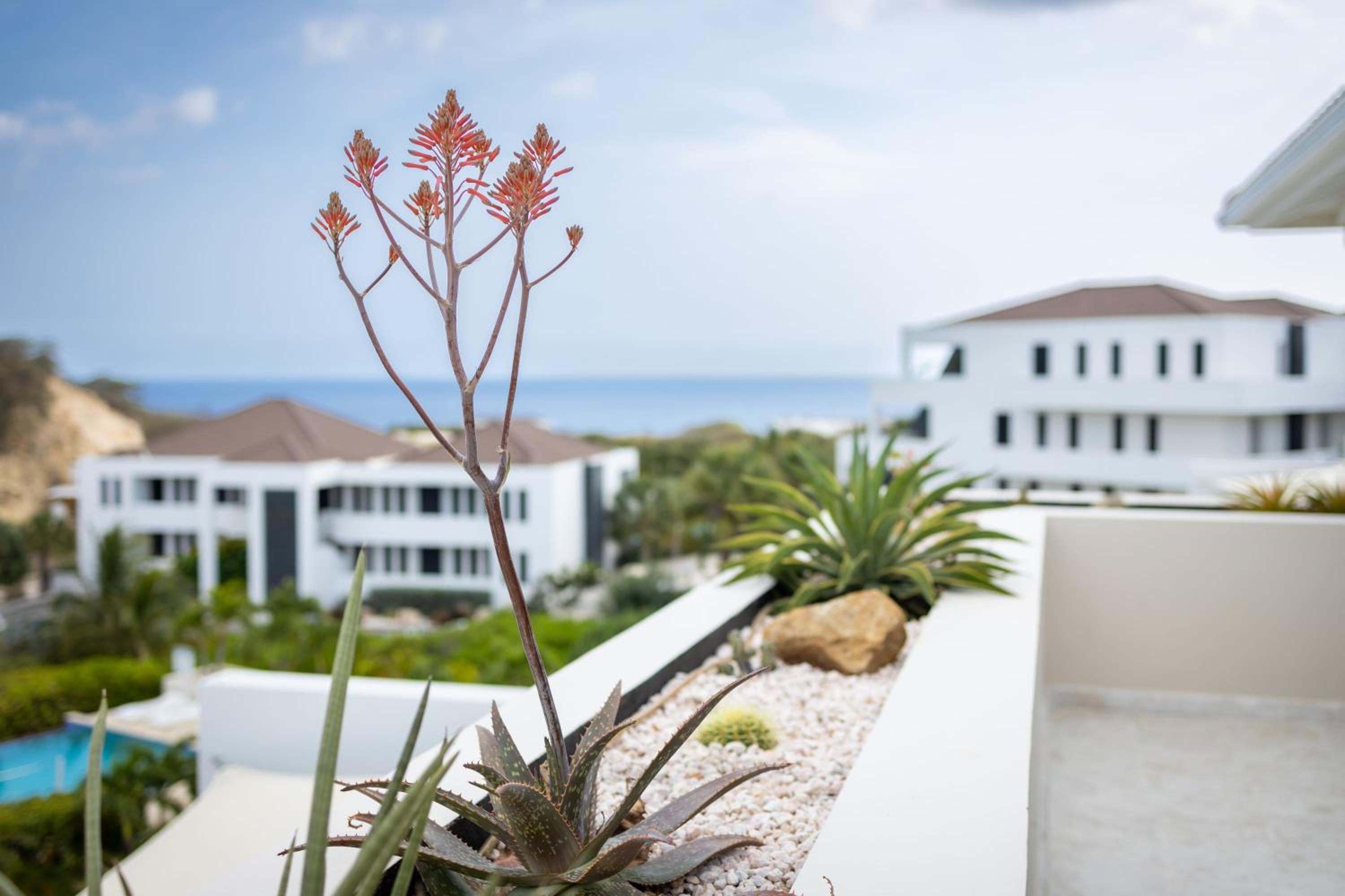 Sandcastles & Sunshine at Blue Bay Resort