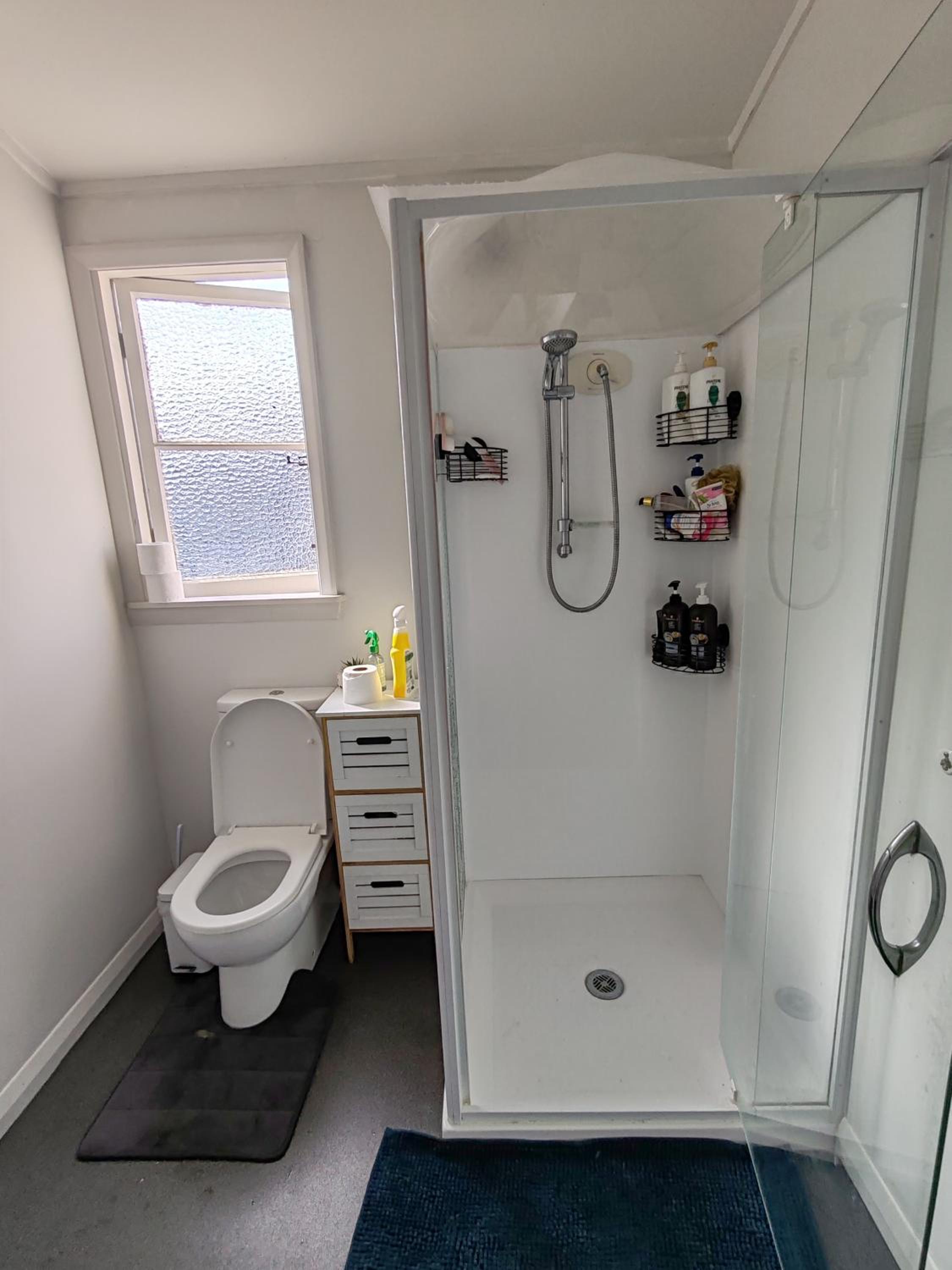 Charming Single Bedroom in Lower Hutt view 5