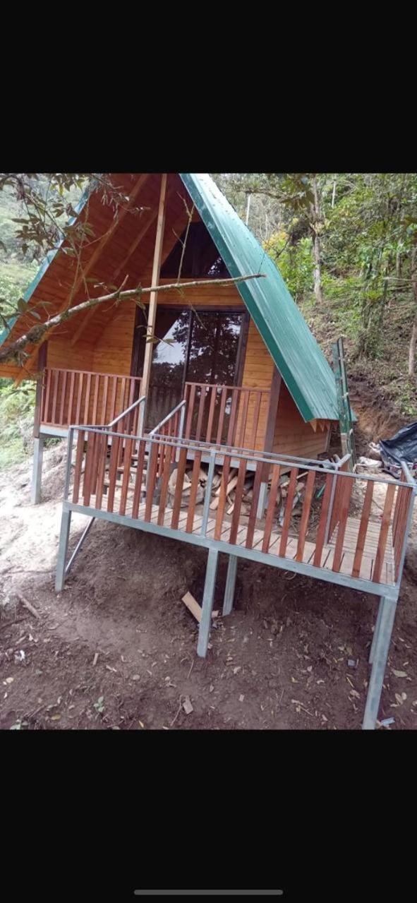 Cabañas Rabbits hole
