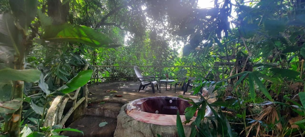 Arenal Ginger Home