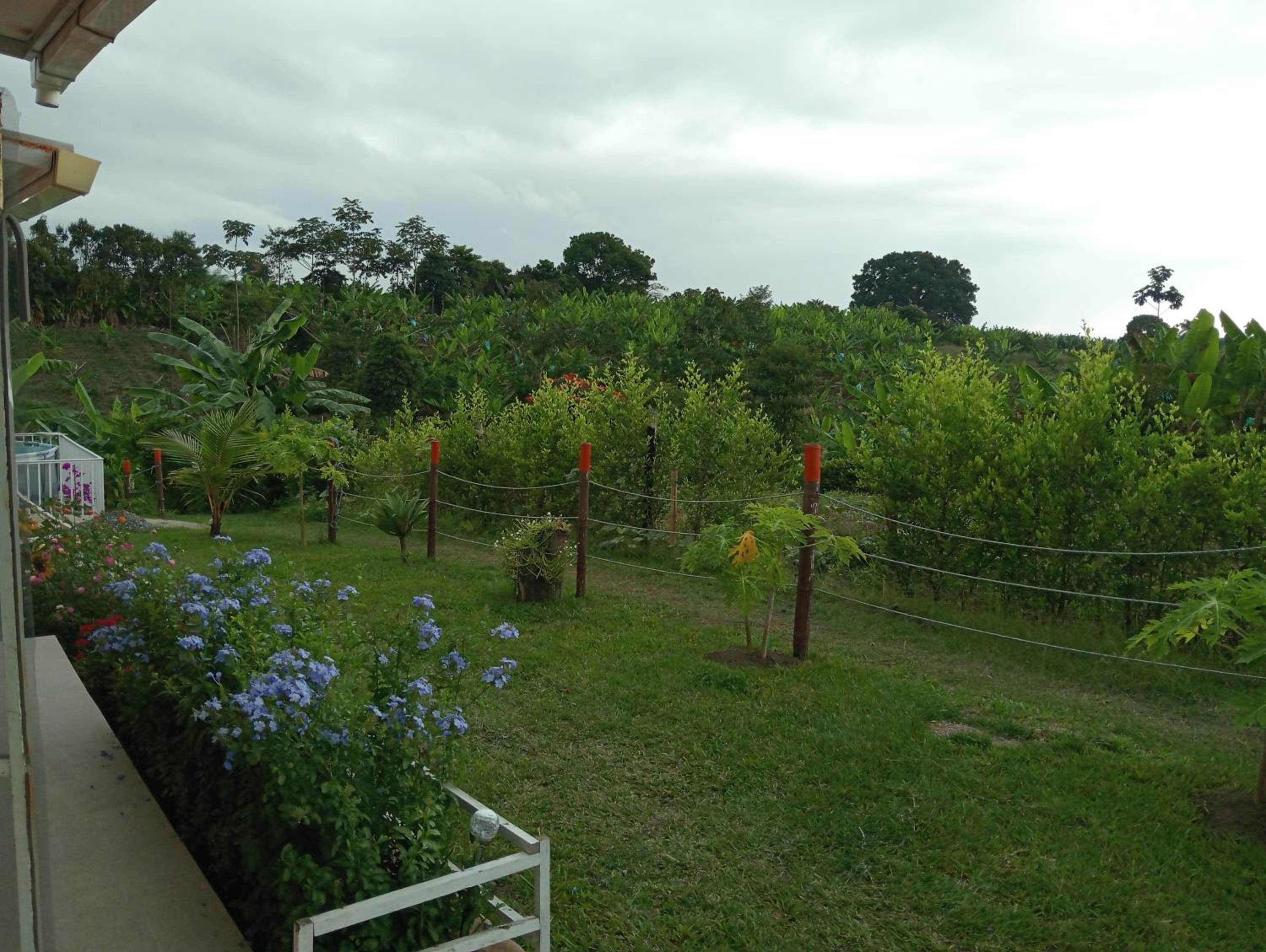 Casa campestre a 10 min parque del café