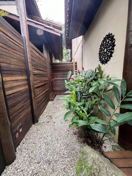 Açaí - Jungle House Sea