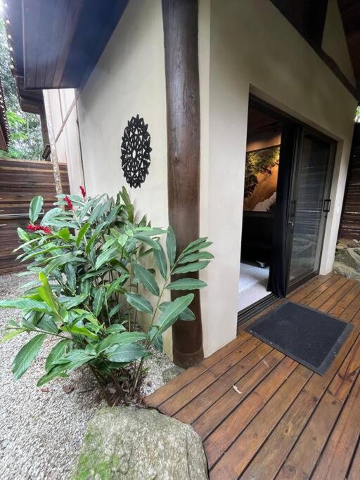 Açaí - Jungle House Sea