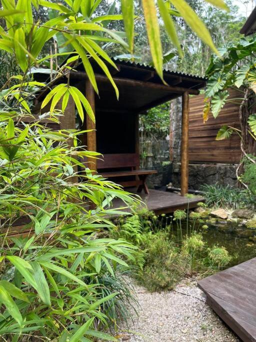 Açaí - Jungle House Sea