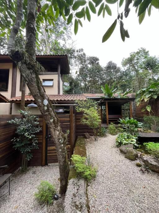 Açaí - Jungle House Sea